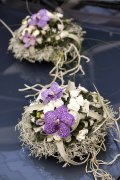 bloemen en planten vvbvanbree     1123